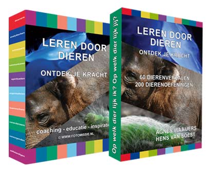 boekenspel leren door dieren