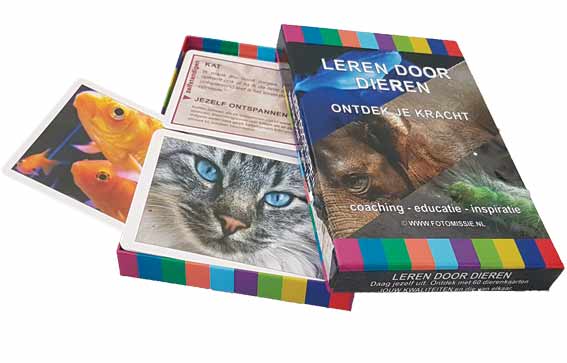 Leren door dieren